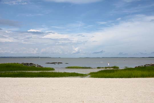 landscape gallery_south
