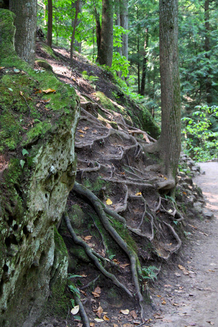 oh_roots in rock