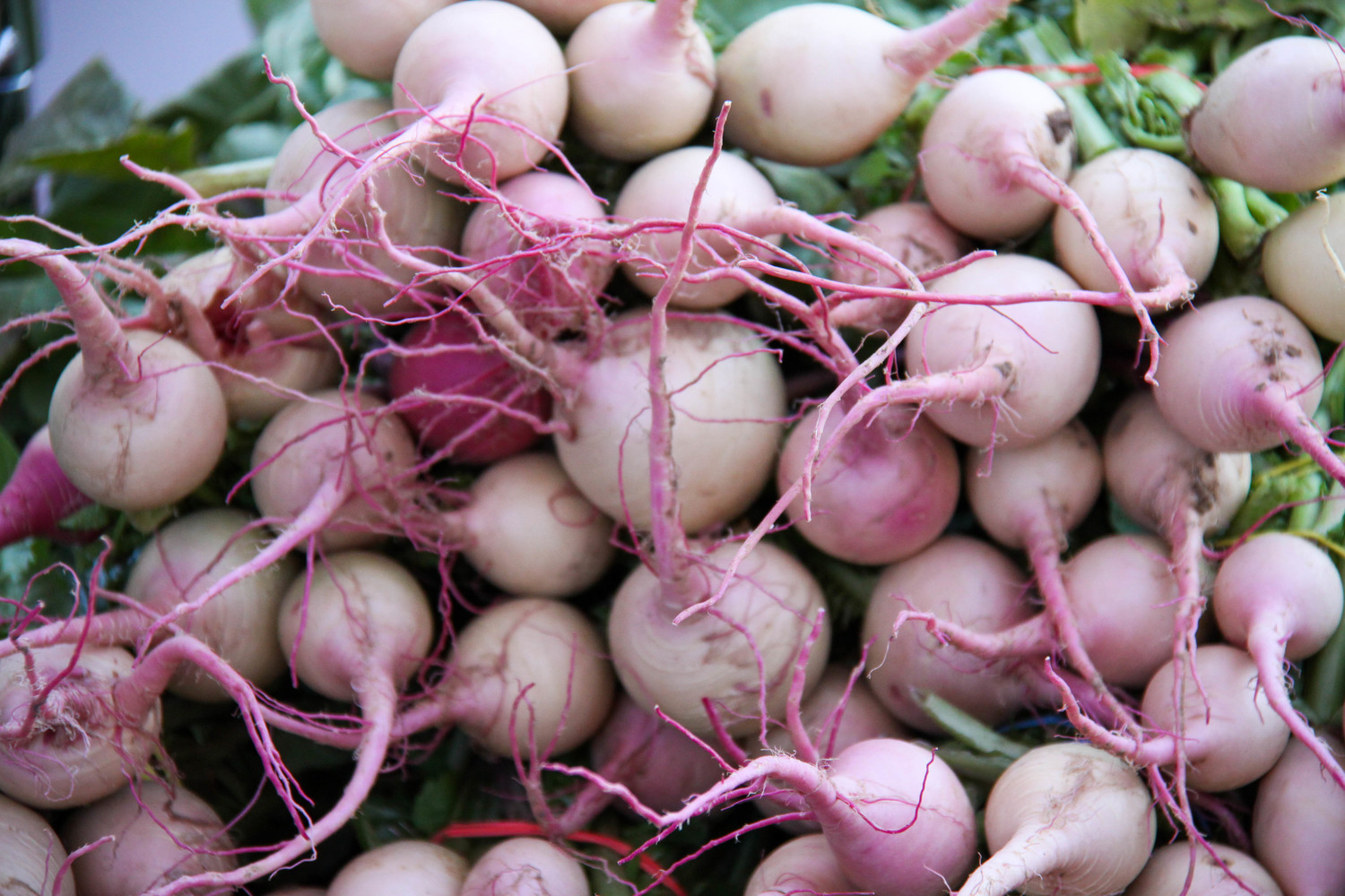 turnips