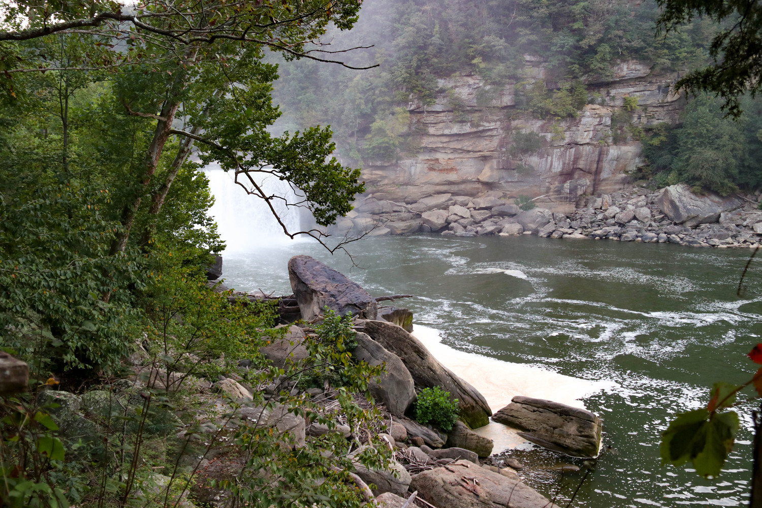 the roaring river