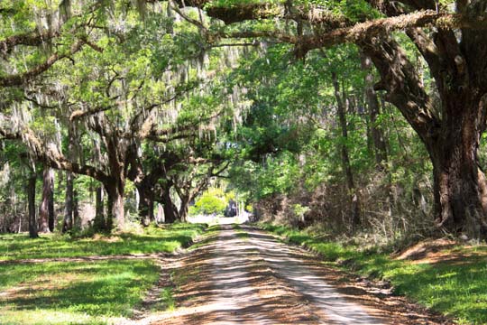landscape gallery south