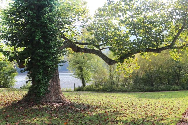 ky_along the river_013
