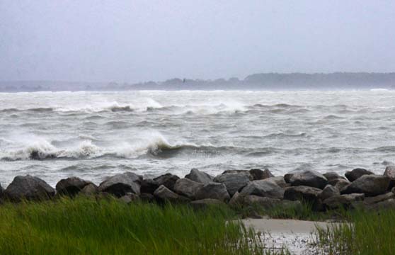sc_almost horses running on the waves_082