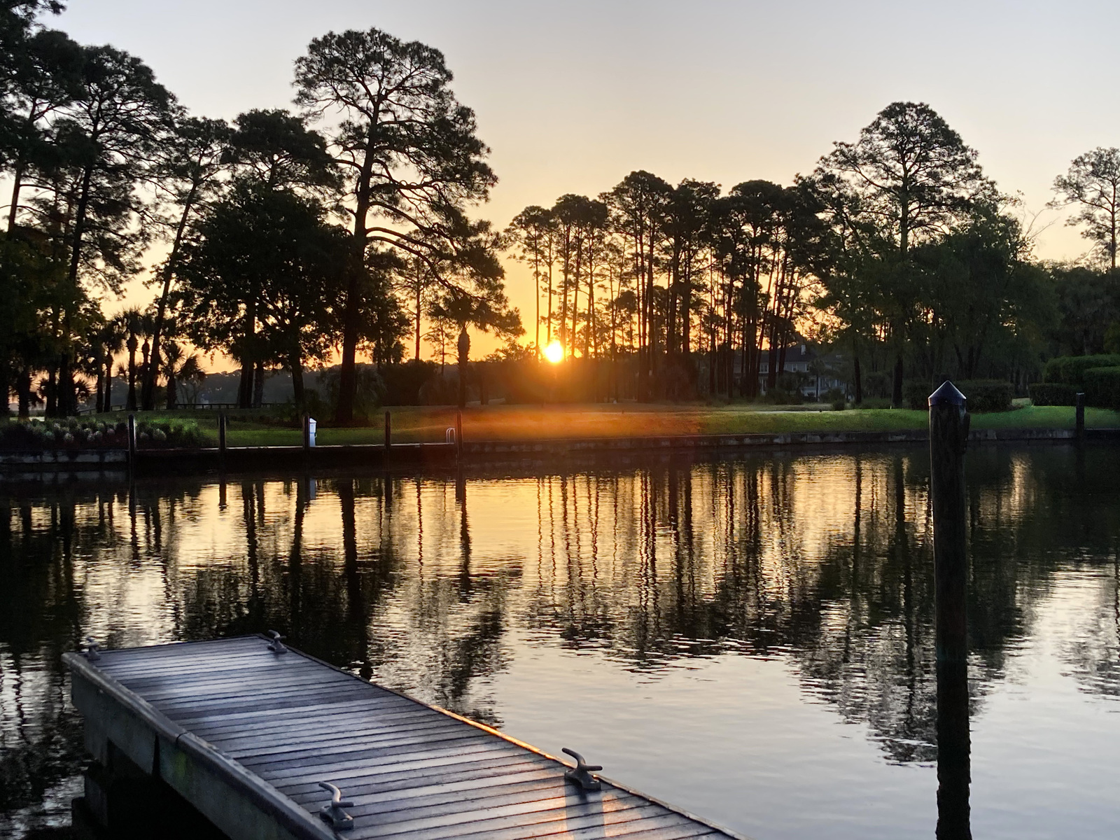On Golden pond