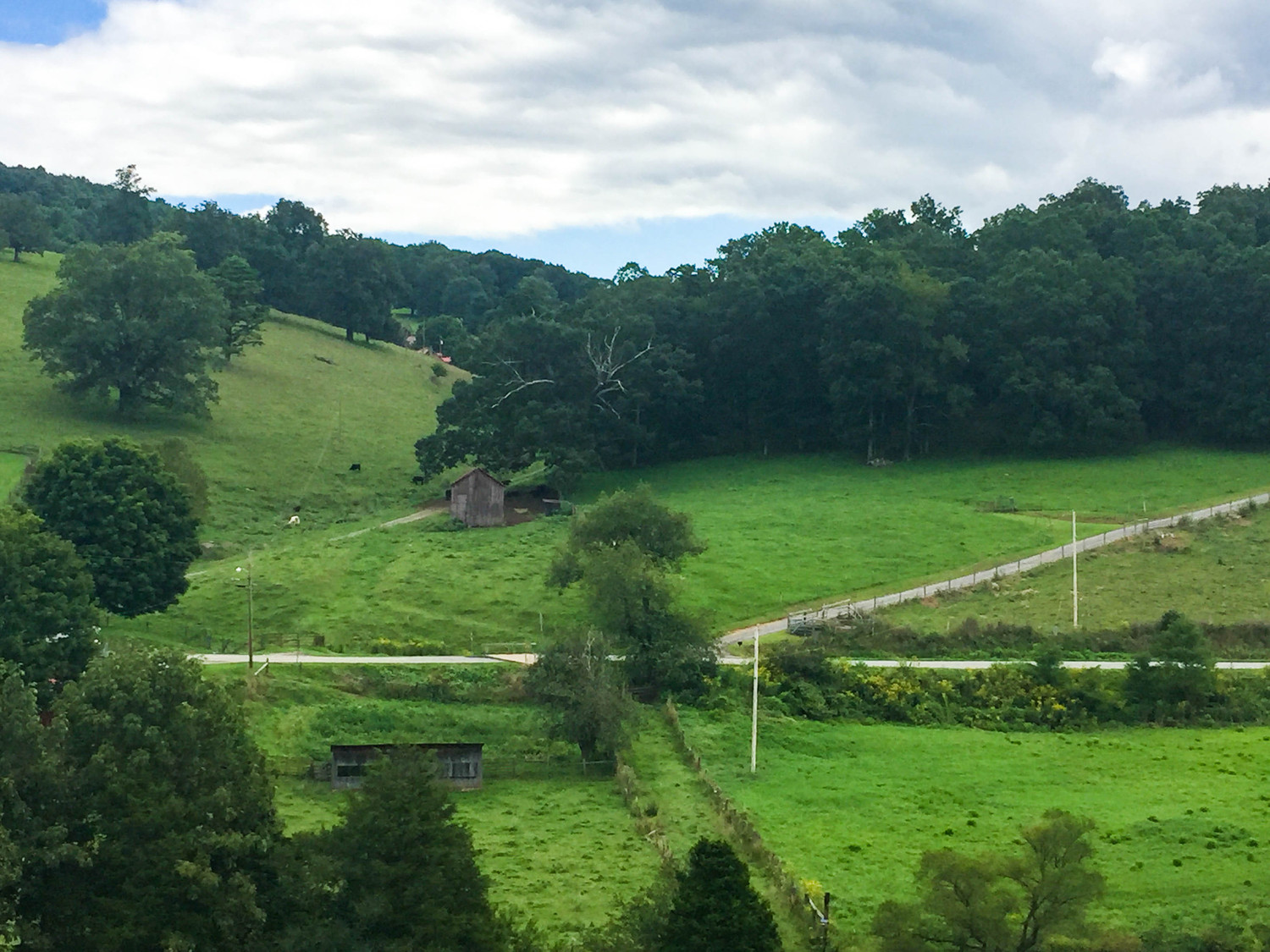 tri farm