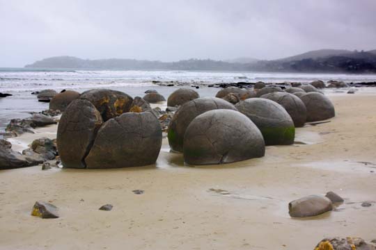 nz_073