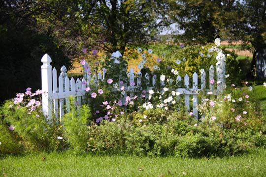 mi_Picket Fence_0667