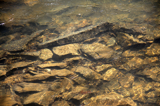 va_creekbed_237