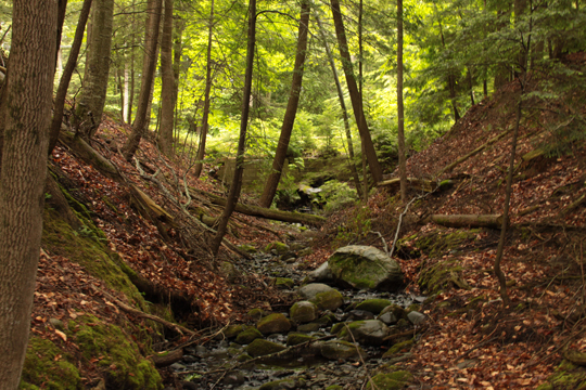 mi_Creekbed 365