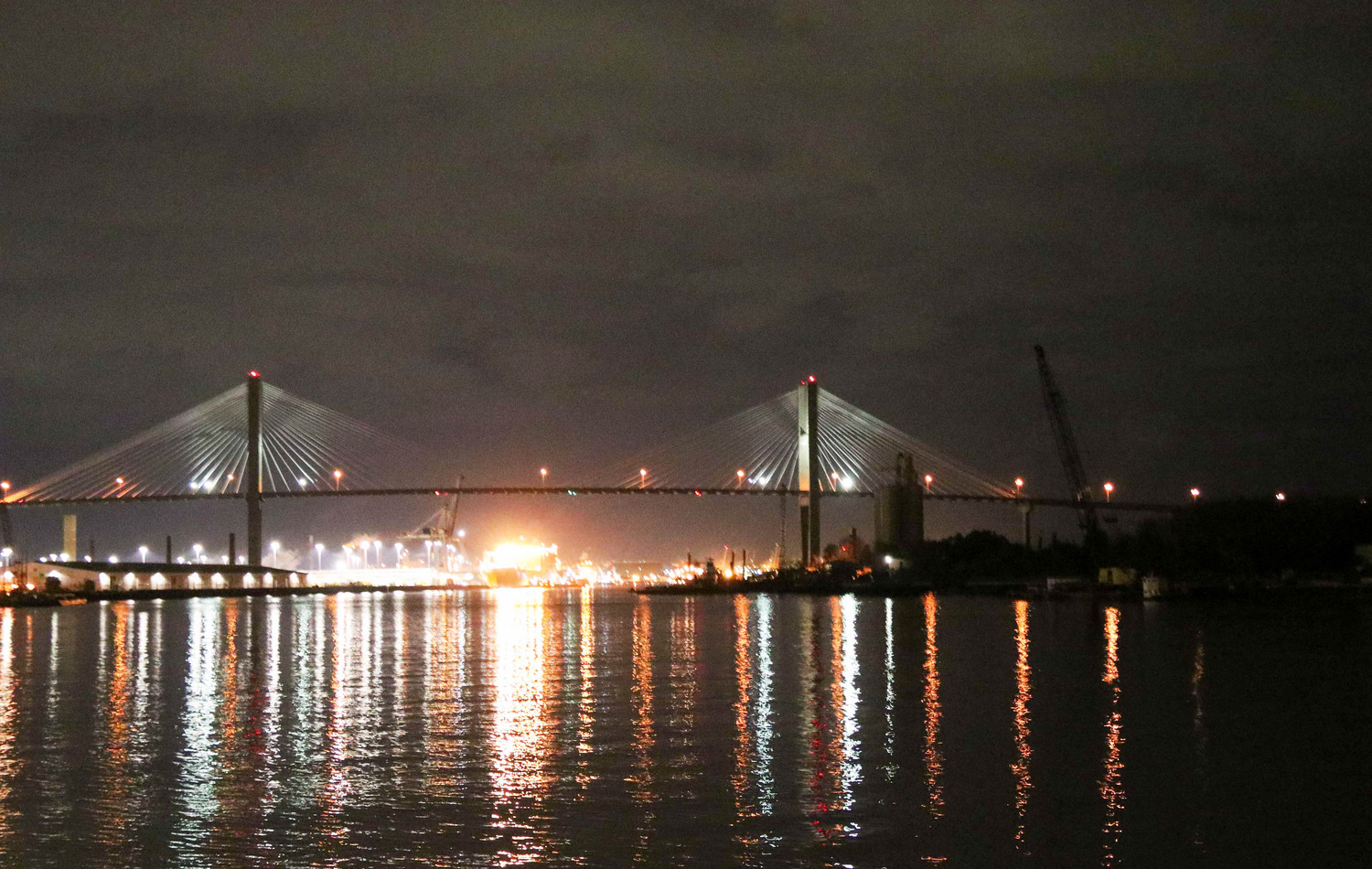 Savannah at night