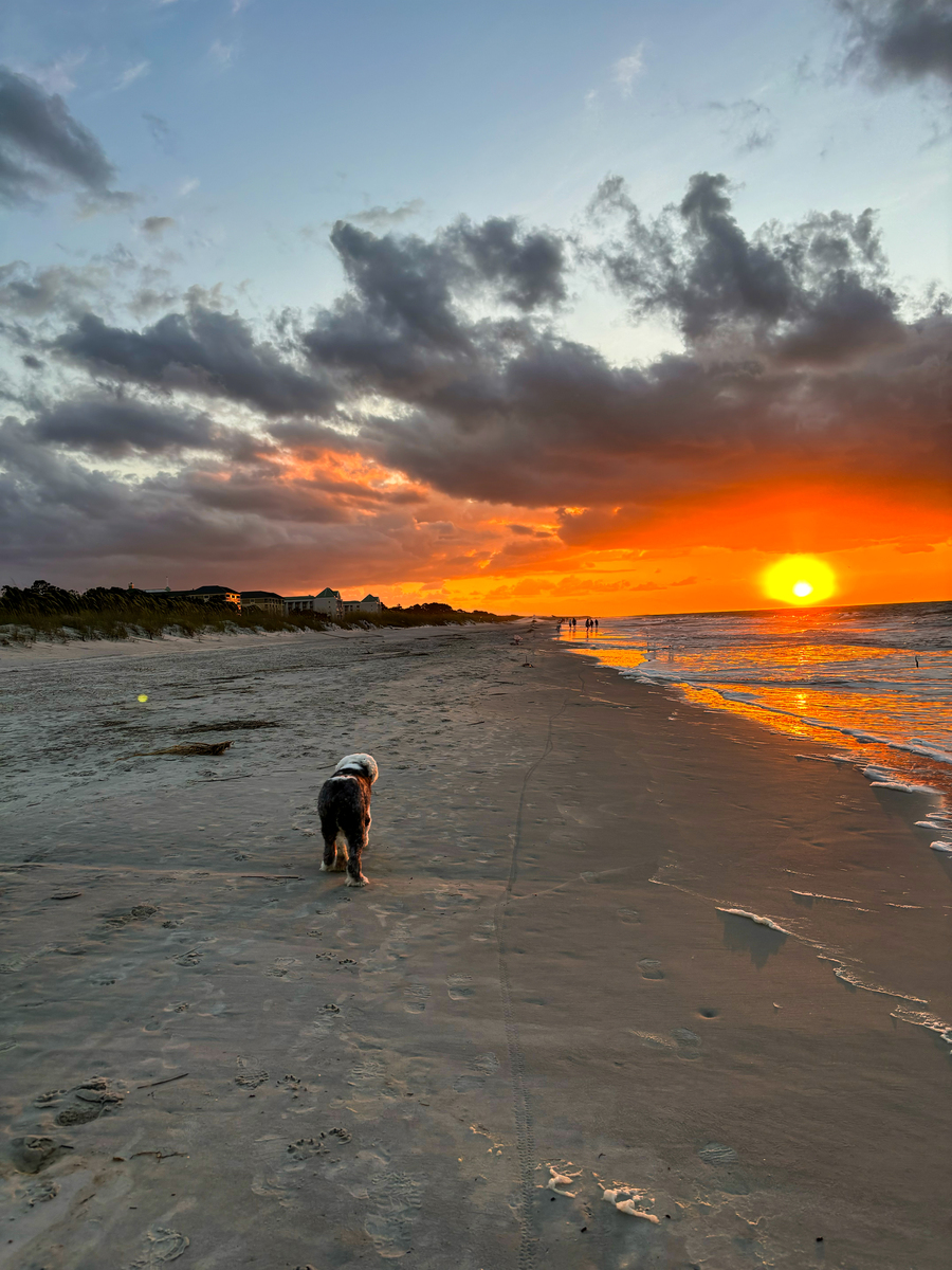 Hobbes at Sunrise