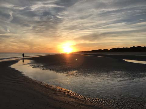 sc_salut to the sun_0141