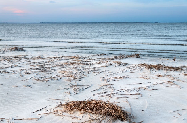 when the marshgrass rolls in_055