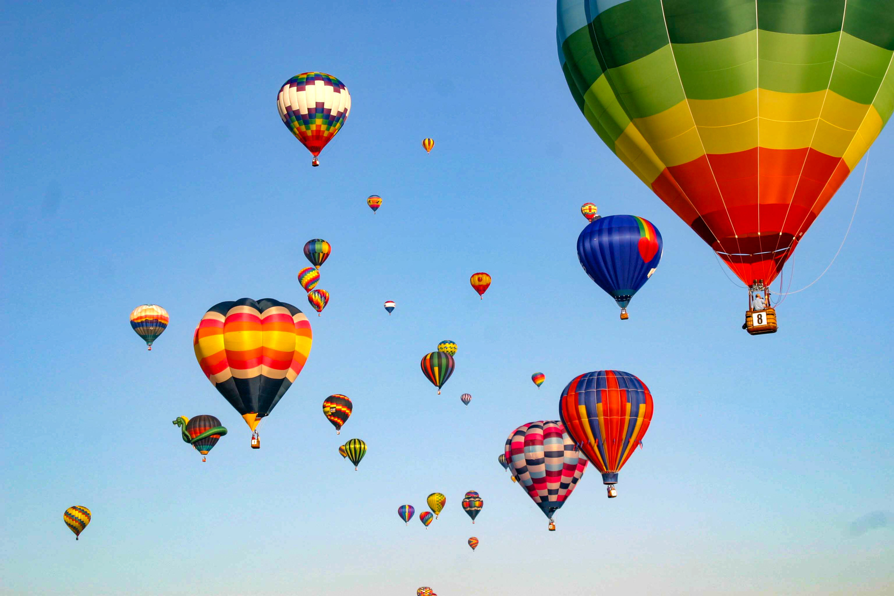 Jackson balloon show