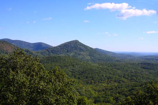 landscape gallery south