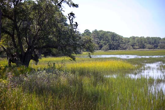sc_watersedge_047