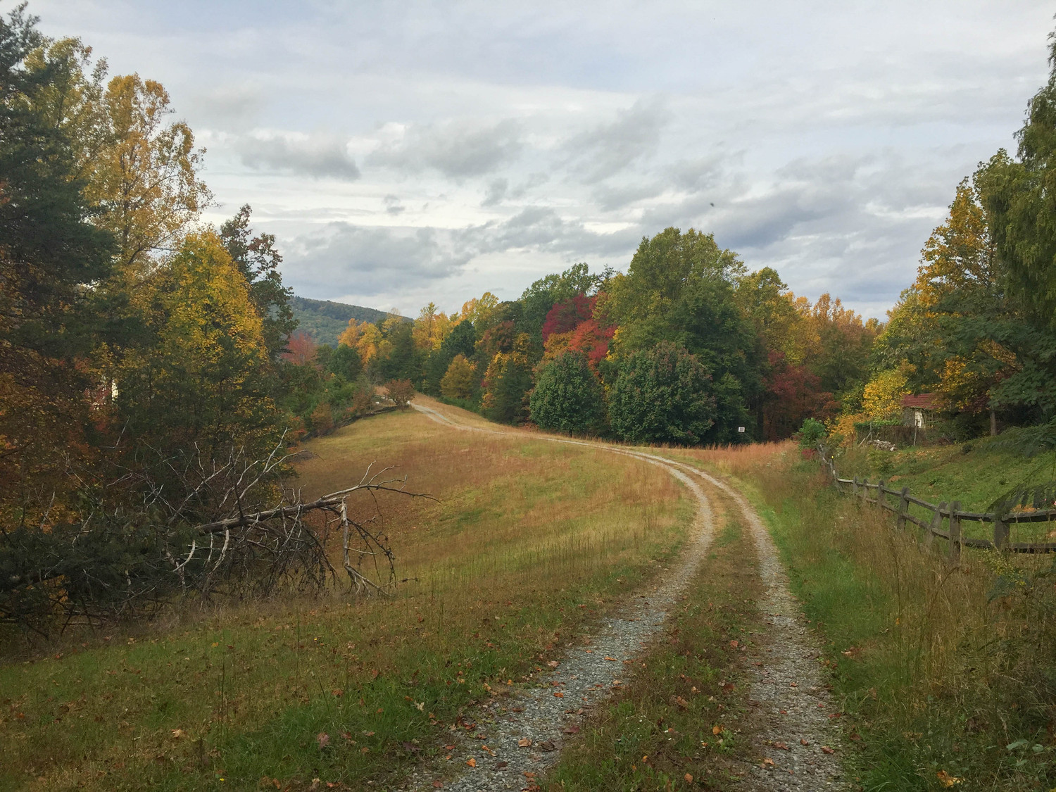 farm lane in North Carolina