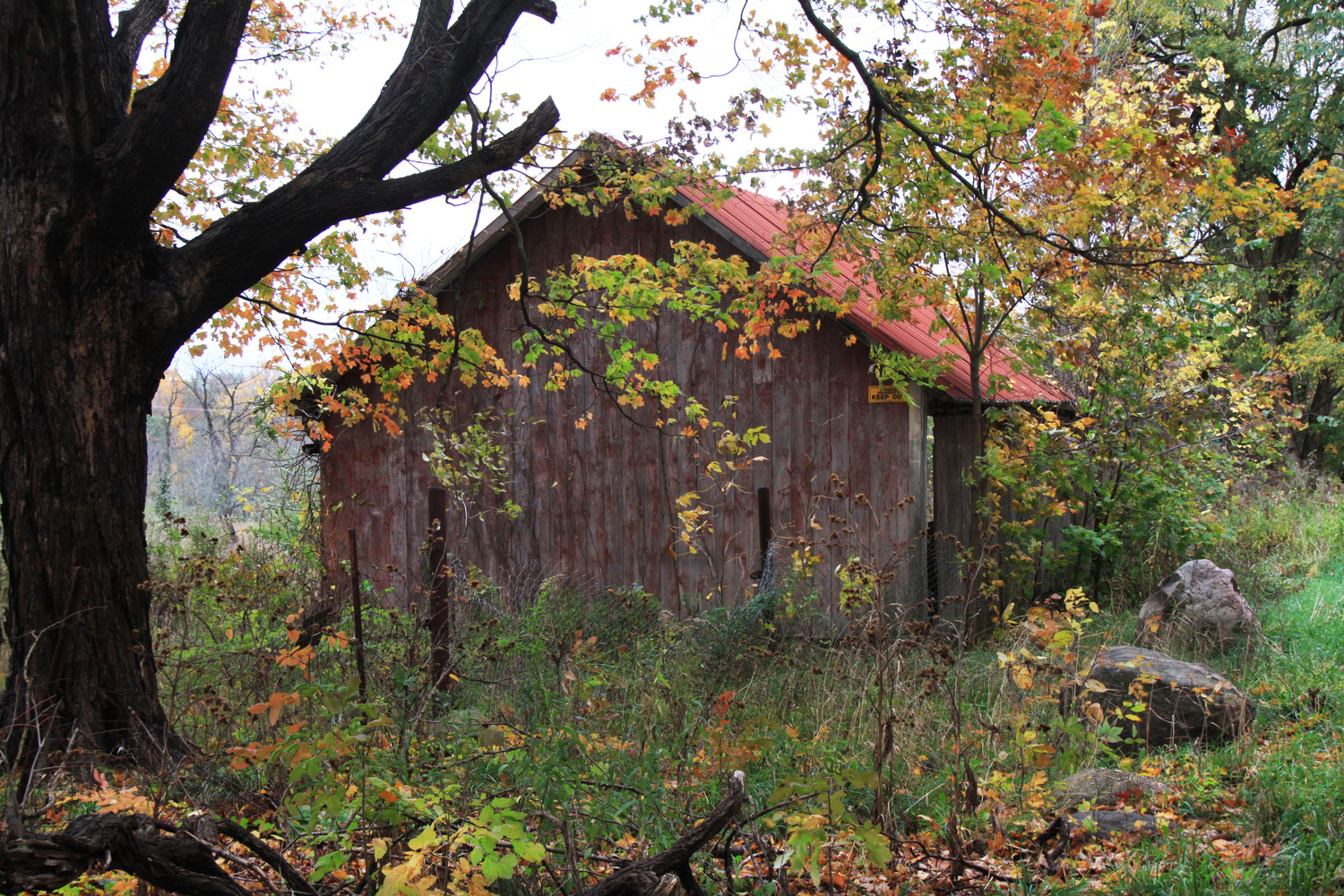 Dexter barn