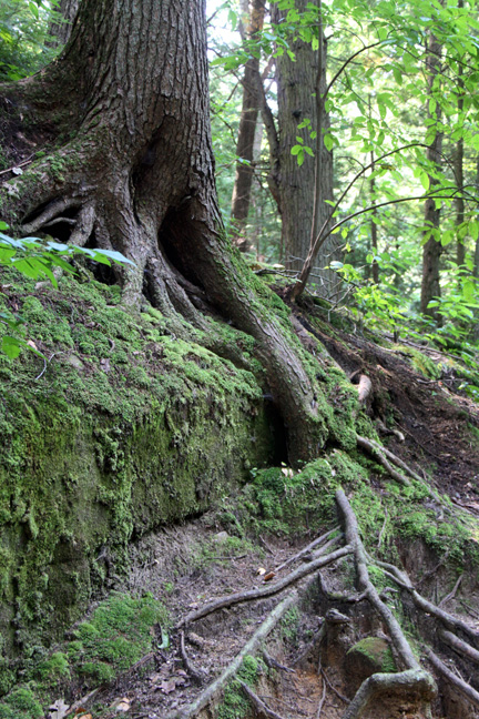 oh_ you can stretch way into the earth