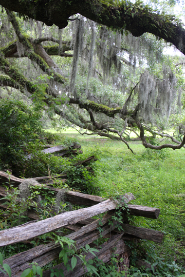 sc_Pasture_ 282.