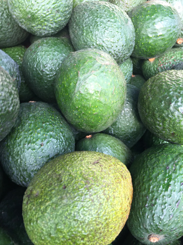 avacado