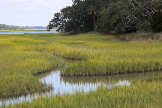 gallery of landscapes_south_sc