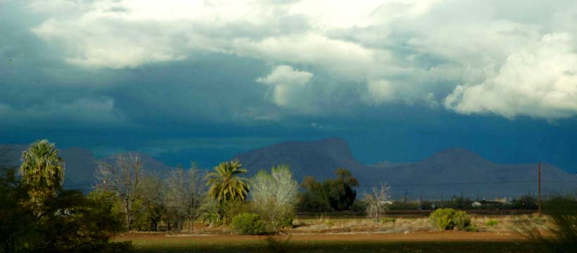 _az_Arizona Vista_9159