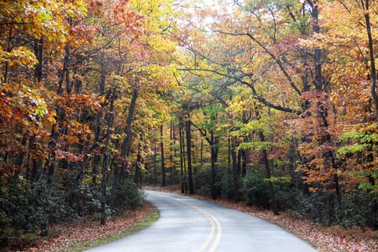 nc_bend in the road_024