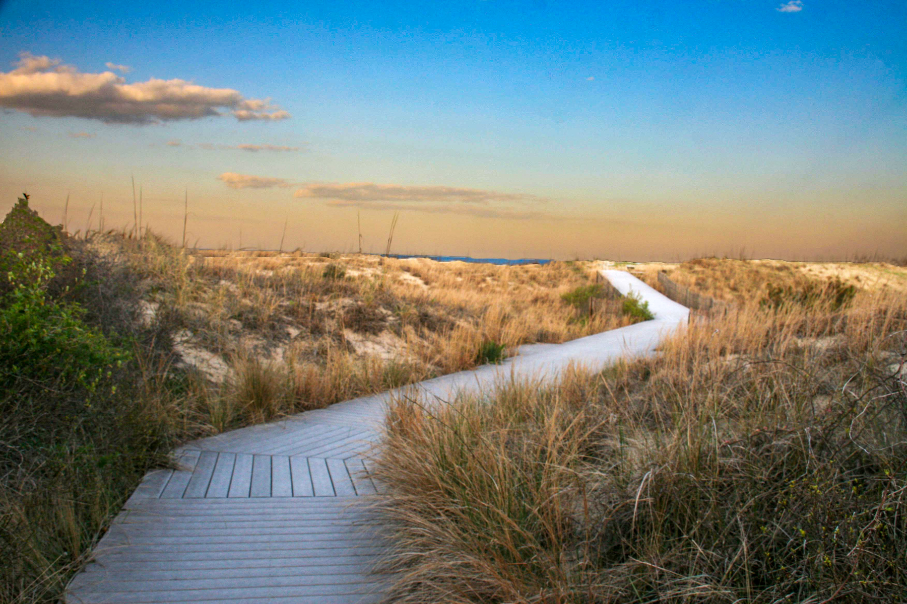 Virginia boardwalk