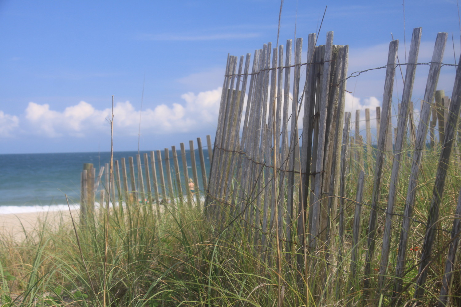 beach fence in Wilmington