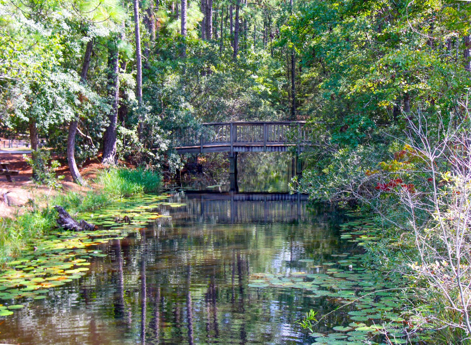 coastal creek
