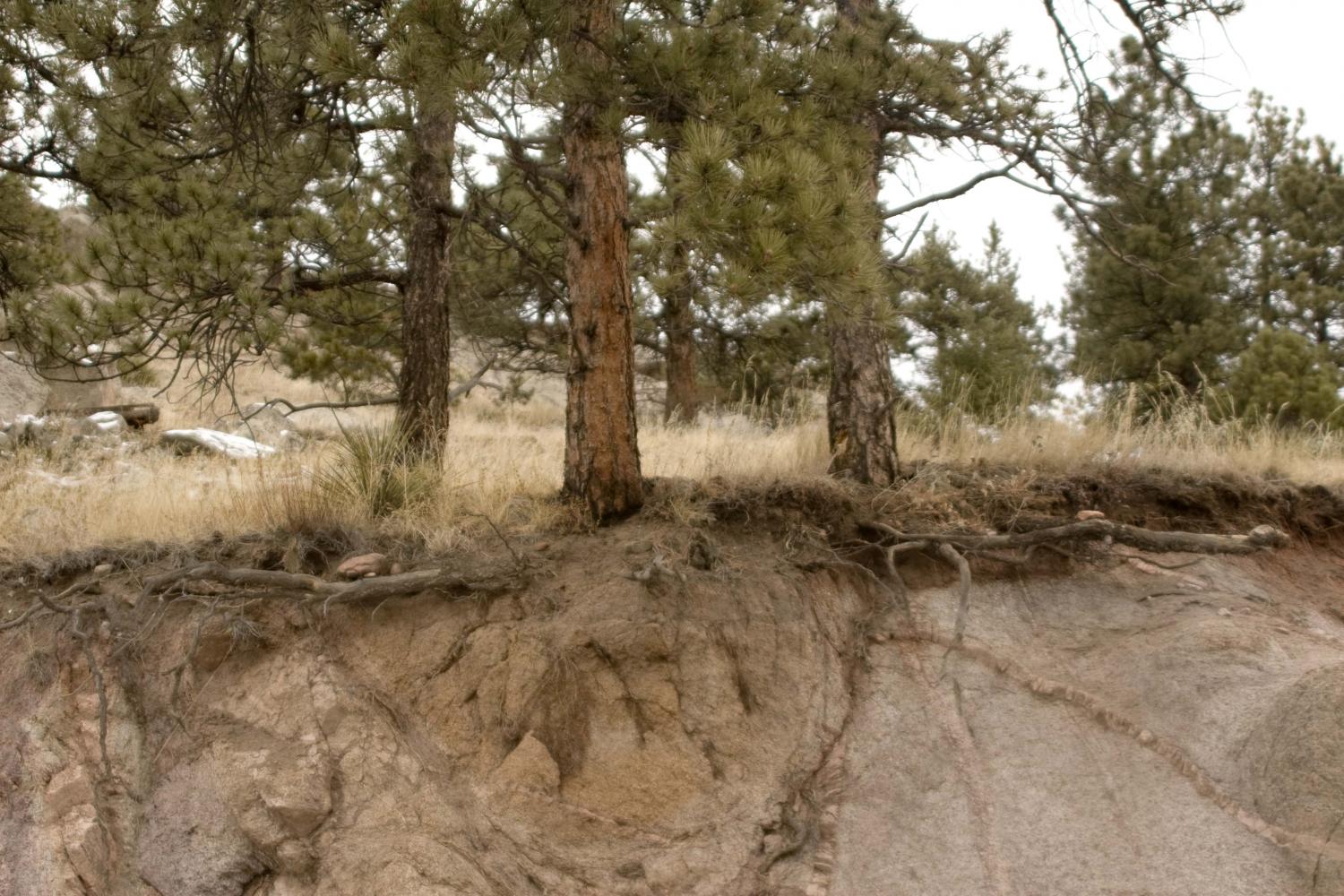 co_cliffside_7146