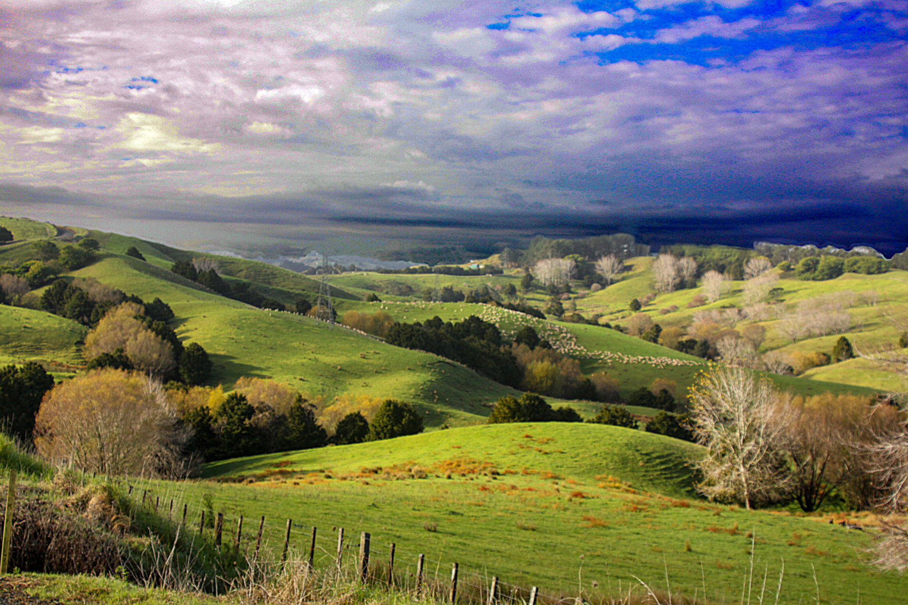 sheepfield