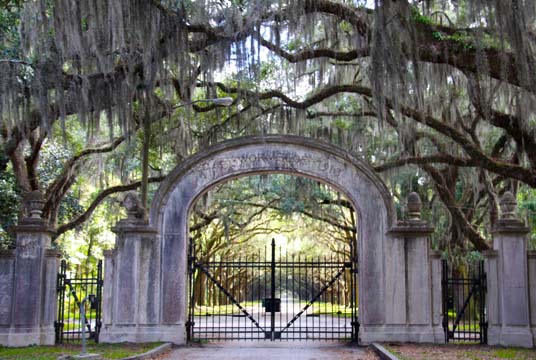 ga_ oak archway_112