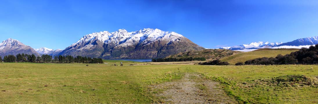 _nz_p_paradise