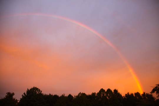nc_Bending Light at sunrise_006