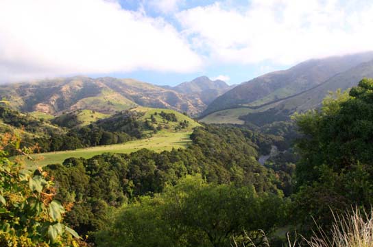 nz_ashburton191s