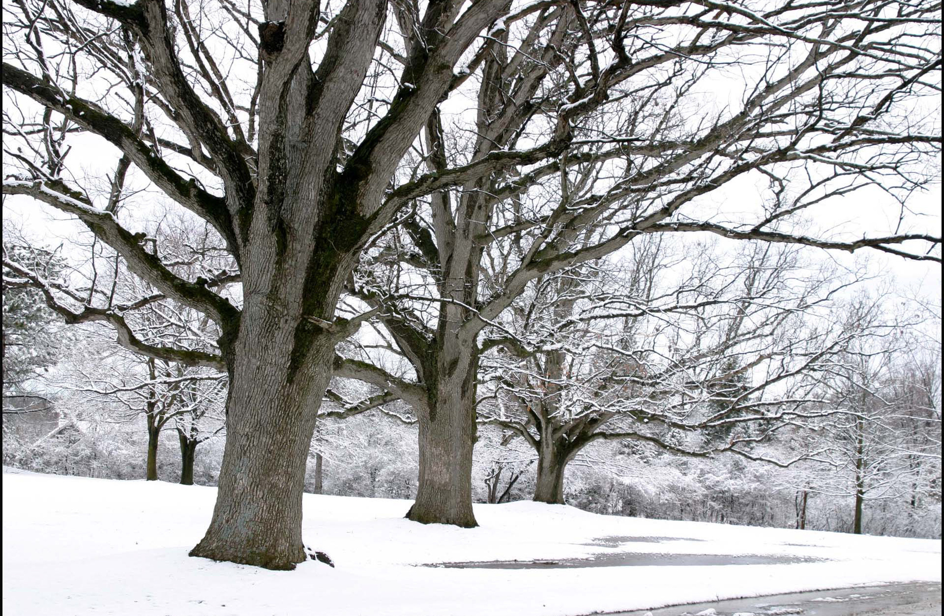 Scio Road in Winter