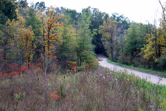 mi_Start of Fall_0443