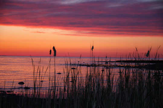 mi_Shoreline 296