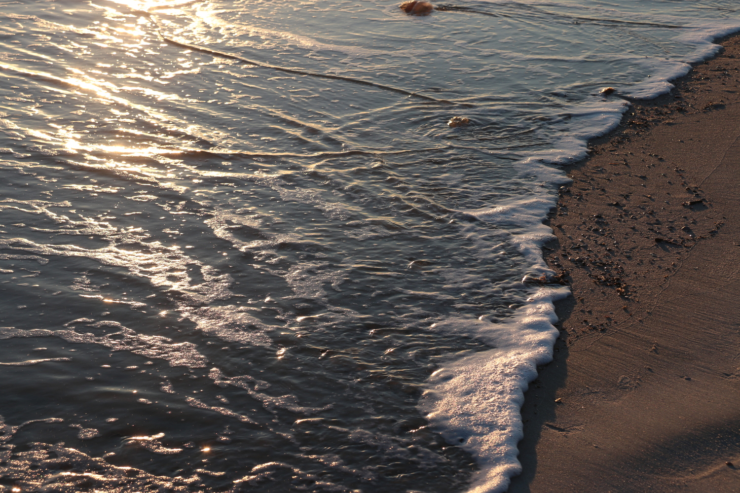creeping onshore