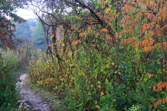colors changing_293