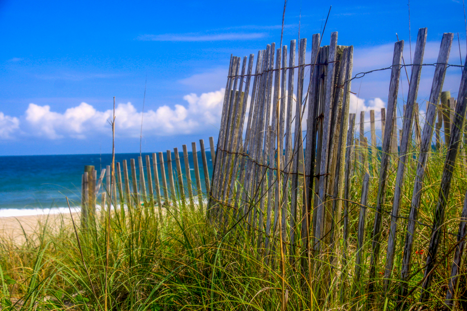 dunes in Wilmington