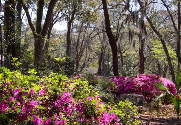 landscape gallery south