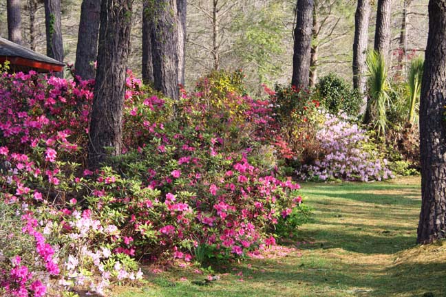 sc_blanket of color_029