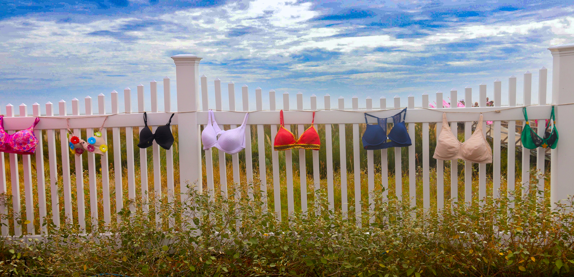 ta tas fence