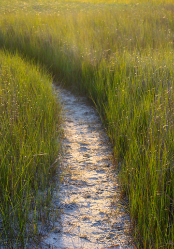 landscape south gallery
