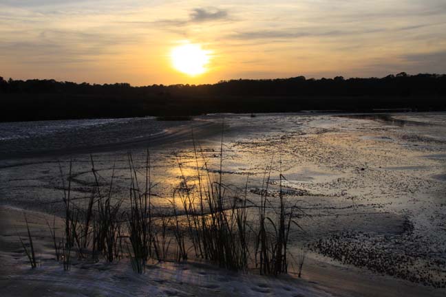 landscape gallery south