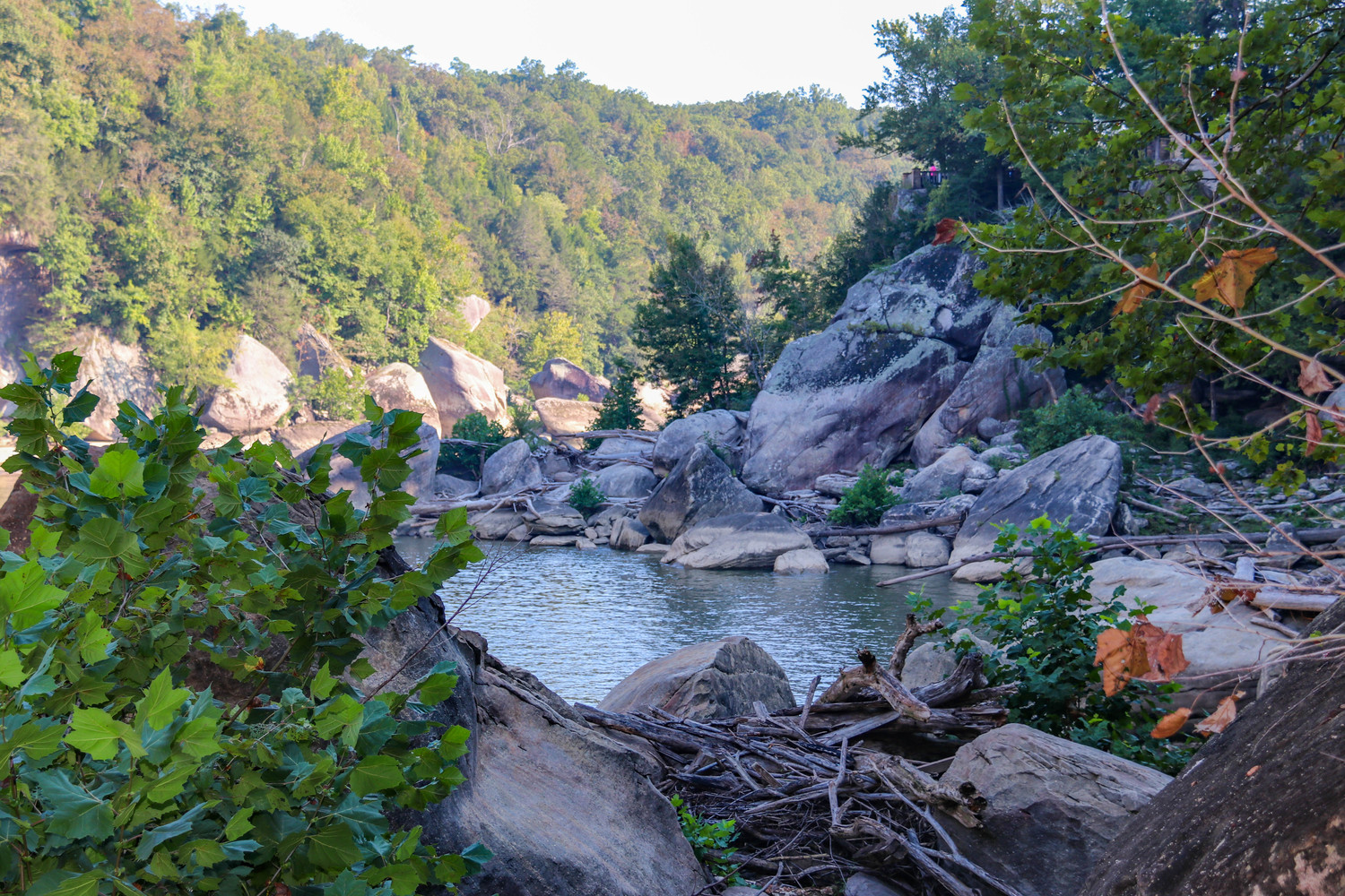 tidepool in the mountain