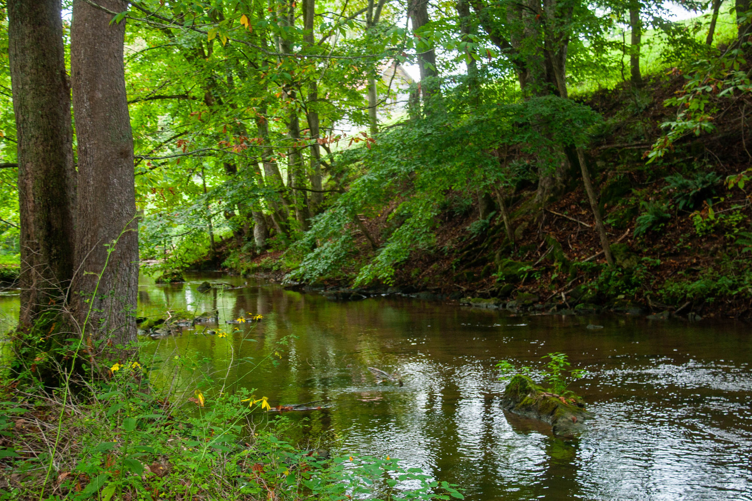 pax creek